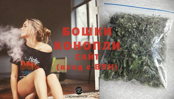 дживик Абаза